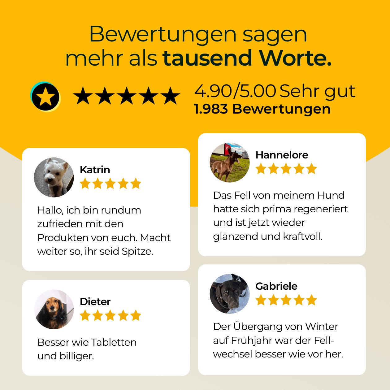 Bewertungen von Kunden. Sternebewertung: 4.90/5.00. Zitate von Katrin, Hannelore, Dieter und Gabriele. Text: Bewertungen sagen mehr als tausend Worte.