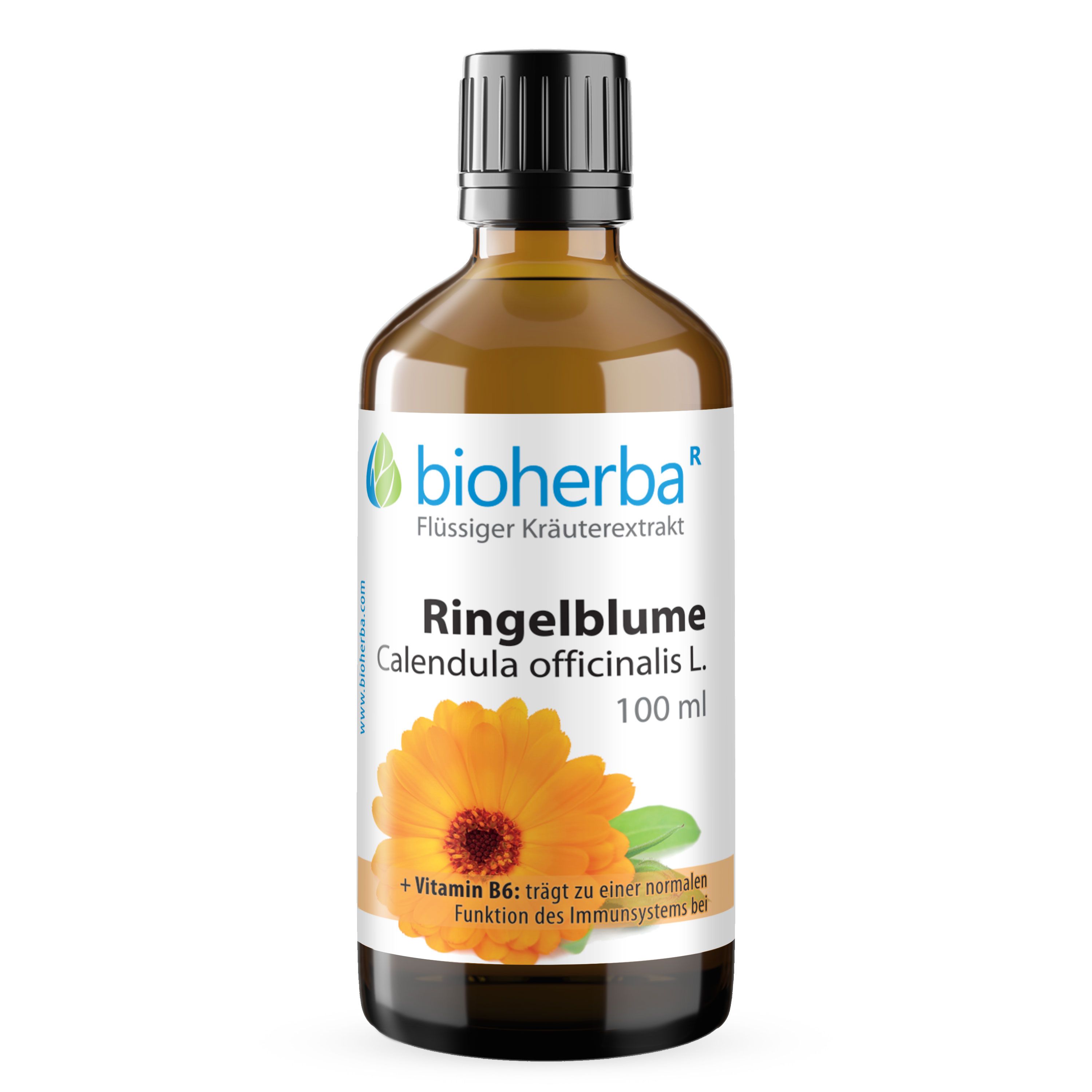 Braune Glasflasche mit schwarzem Deckel. Etikett mit Ringelblume-Extrakt. Text: Vitamin B6 trägt zur normalen Funktion des Immunsystems bei.