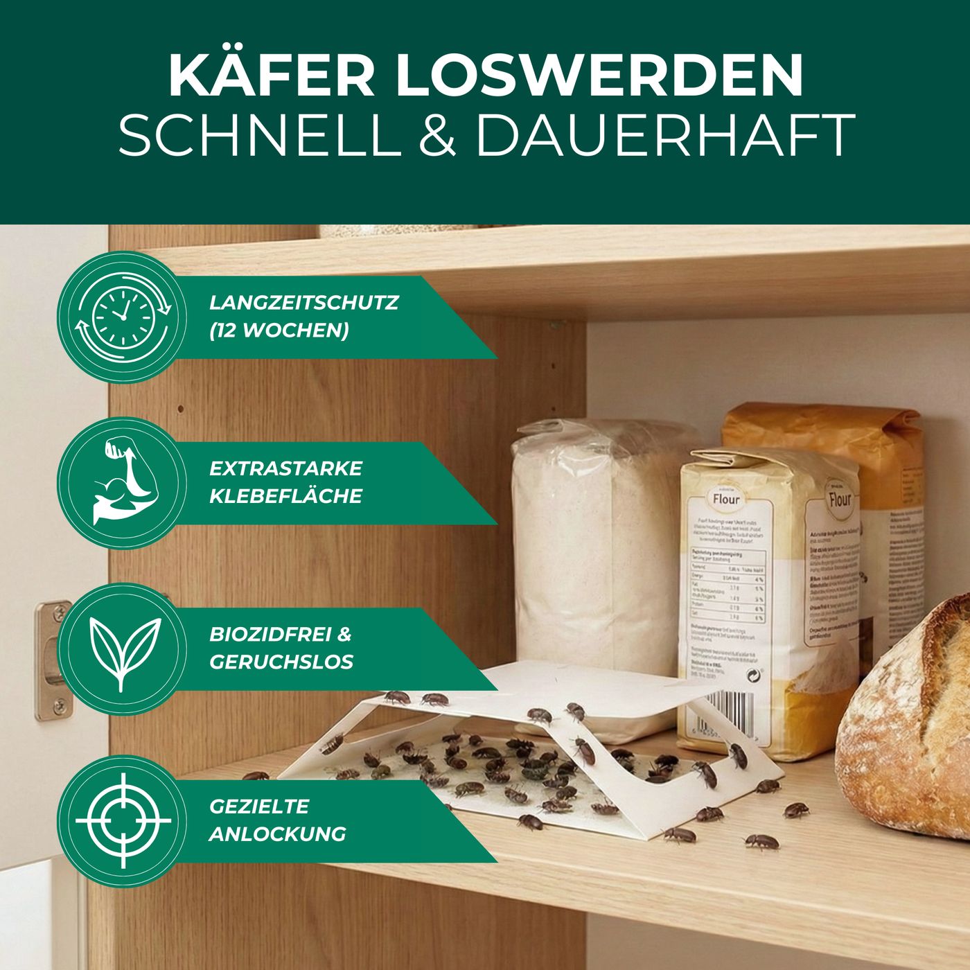 Käferfalle auf Regal. Text: Langzeitschutz (12 Wochen), extra starke Klebefläche, biozidfrei & geruchlos, gezielte Anlockung. Käfer auf der Falle.