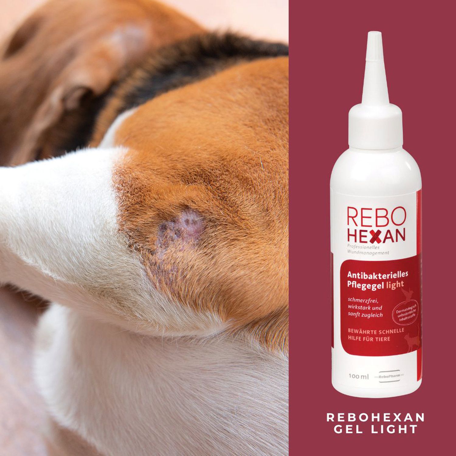 REBOHEXAN Gel light