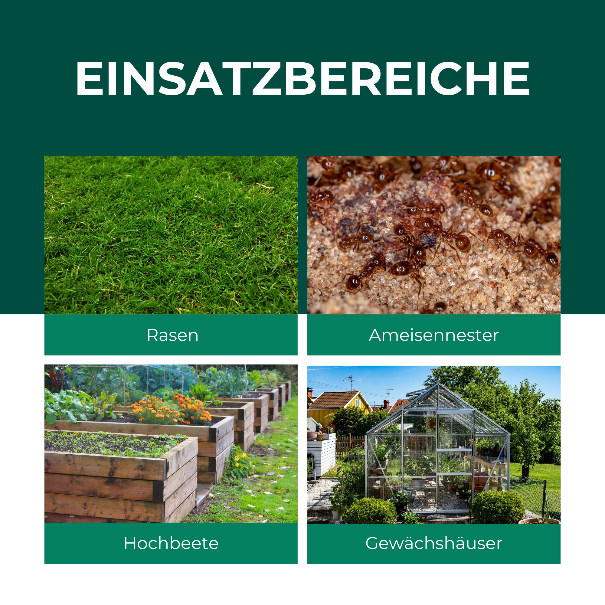 Grüner Rasen