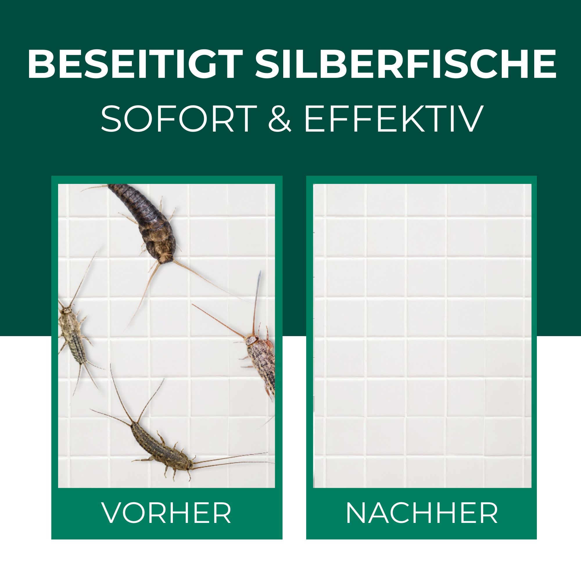 SILBERKRAFT Silberfischspray