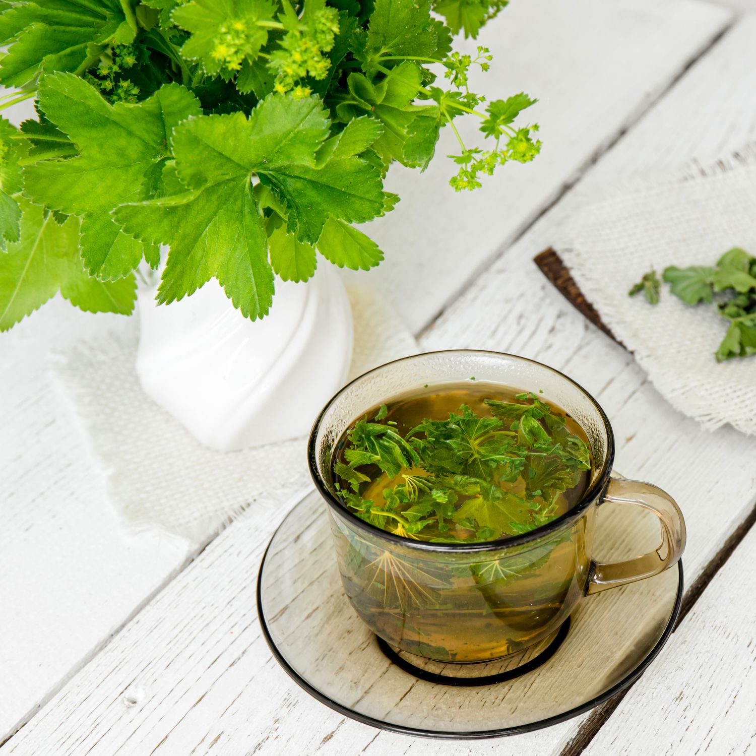 Glas-Teetasse mit Kräutern auf Untertasse. Daneben Vase mit grünen Blättern. Auf weißem Holz.