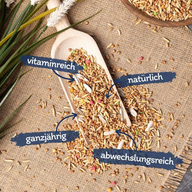 Vogelstreufutter in Holzschaufel. Beschriftungen: vitaminreich, natürlich, ganzjährig, abwechslungsreich.