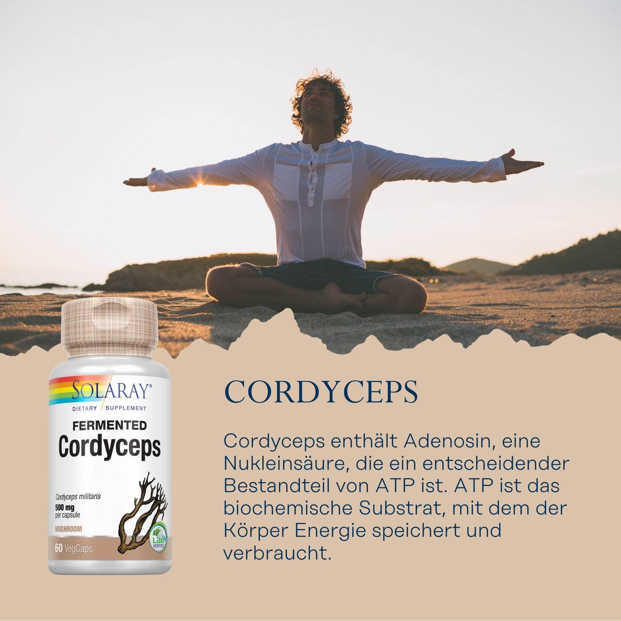 Solaray Cordyceps-Produkt. Mann in Yoga-Pose. Text: Cordyceps enthält Adenosin. Produktabbildung.