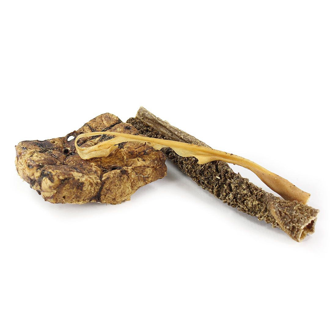 Verschiedene Kauartikel für Hunde. Ein Stück ist braun und unregelmäßig geformt, zwei weitere sind länglich und hellbraun.