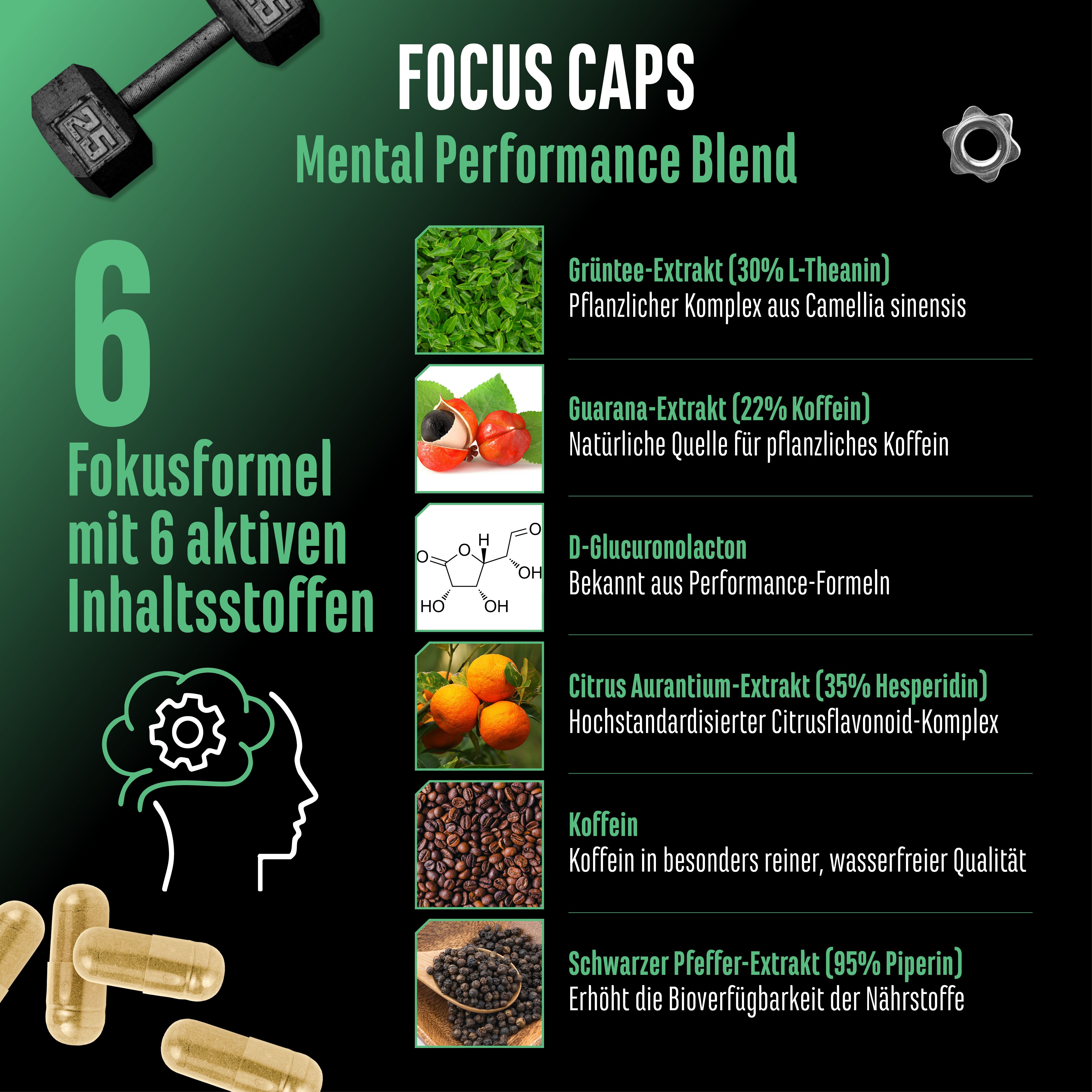 Infografik: 6 Inhaltsstoffe von Focus Caps. Grüntee-Extrakt, Guarana-Extrakt, D-Glucuronolacton, Citrus Aurantium-Extrakt, Koffein, Pfeffer-Extrakt.