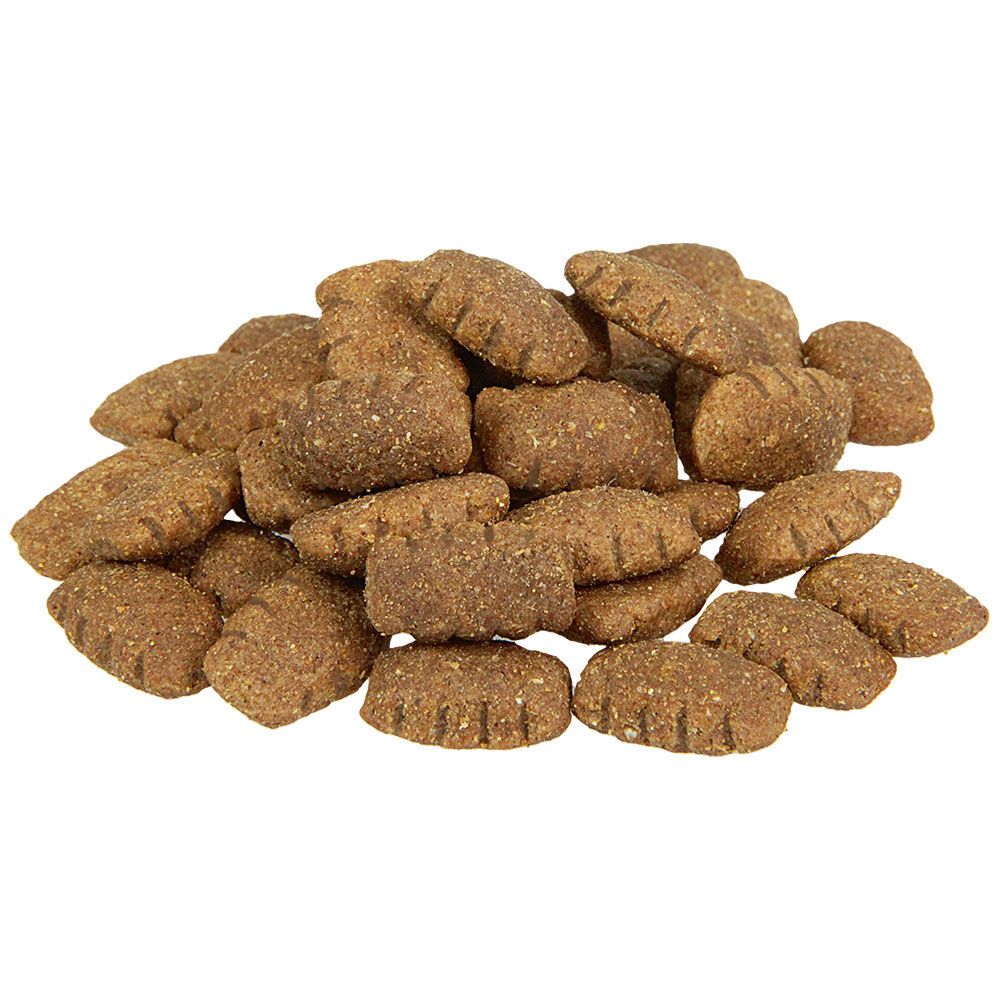 Schecker - Hypoallergen Insect & Lecker