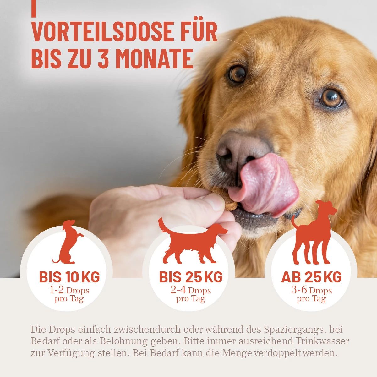 Hund leckt sich. Text: Vorteilsdose für bis zu 3 Monate. Dosierung: Bis 10 kg, 1-2 Tropfen; bis 25 kg, 2-4 Tropfen; ab 25 kg, 3-6 Tropfen. Text: Die Drops einfach zwischendurch geben.