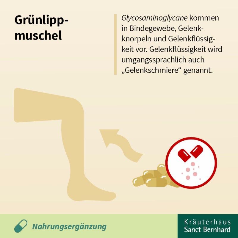 Illustration: Bein mit Kapseln, daneben Kapseln und ein rotes Symbol. Text: Glykosaminoglykane kommen in Bindegewebe vor.