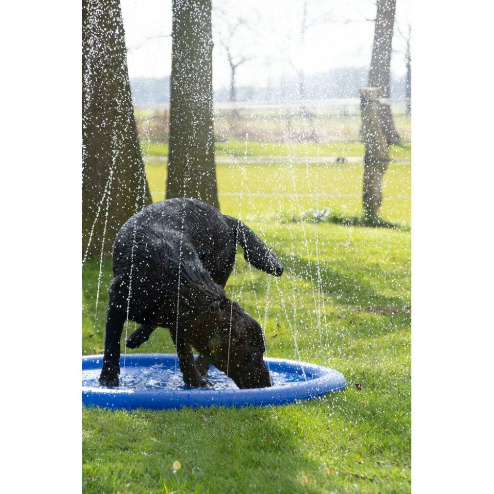 Blauer, runder Pool mit Wasserstrahlen. Ein schwarzer Hund steht im Pool und trinkt Wasser. Bäume und Gras im Hintergrund.