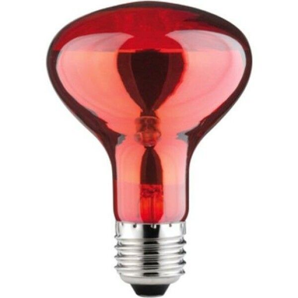 Paulmann REFLEKTORLAMPE R80 60W E27 (829.77 INFRAROT)