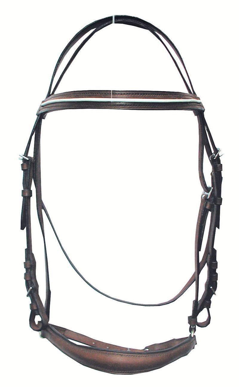 Brauner Trensenzaum mit weißem Akzent. Lederriemen, Metallverschlüsse. Gebogene Form für das Maul. Detailansicht.