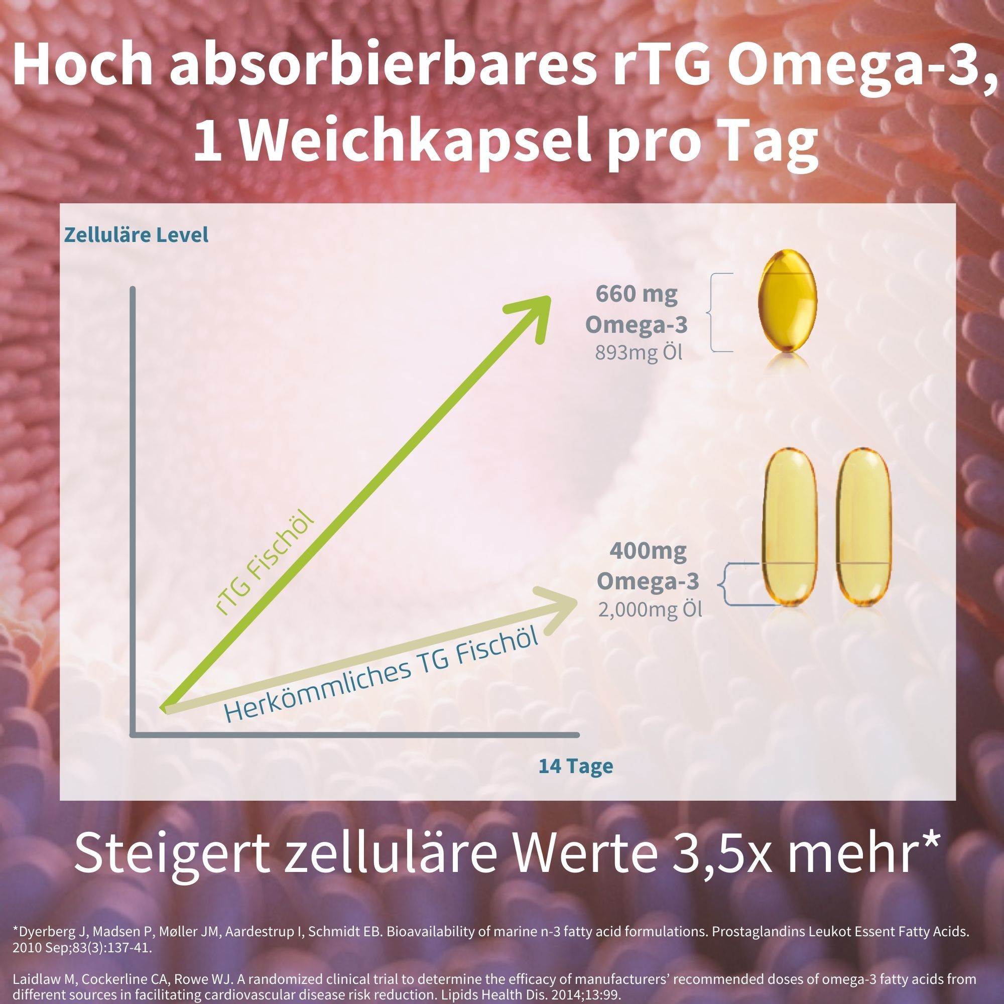 Diagramm: rTG Fischöl vs. herkömmliches TG Fischöl. Steigert zelluläre Werte 3,5x mehr. 1 Weichkapsel pro Tag.