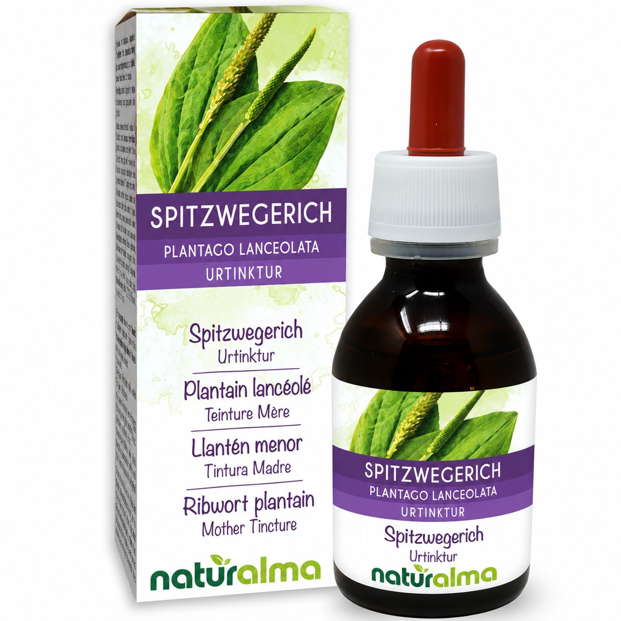 Braune Glasflasche mit Pipettenverschluss, enthält Spitzwegerich Tinktur. Kartonverpackung mit Pflanzenabbildung.