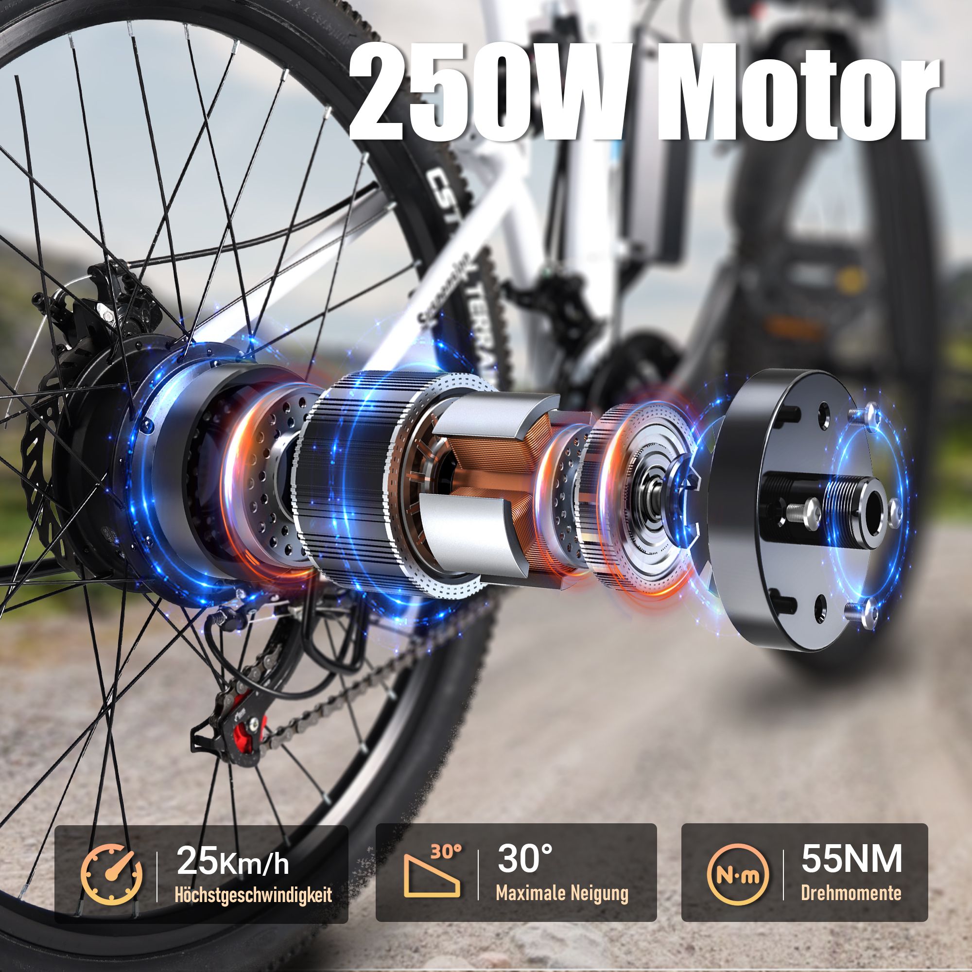 E-Bike-Motor mit 250W. Anzeige von 25 km/h Höchstgeschwindigkeit, 30° maximale Neigung und 55NM Drehmomente.