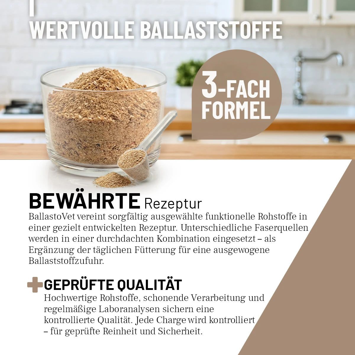 Glas mit BallastoVet-Pulver und Löffel. Text: Wertvolle Ballaststoffe, 3-fach Formel, bewährte Rezeptur, geprüfte Qualität. Hintergrund: Küche.
