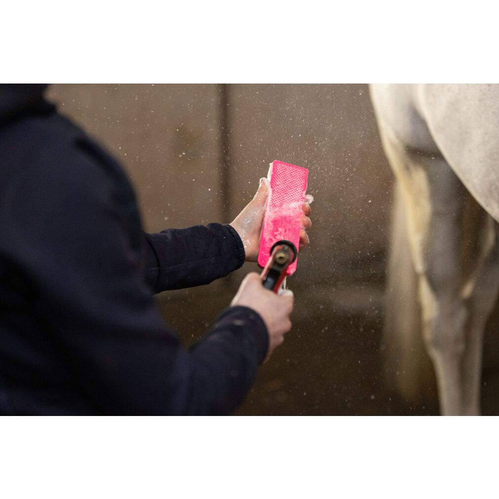 Person hält eine pinkfarbene, rechteckige Bürste. Sie wird auf einem Pferd verwendet, das mit Wasser besprüht wird.
