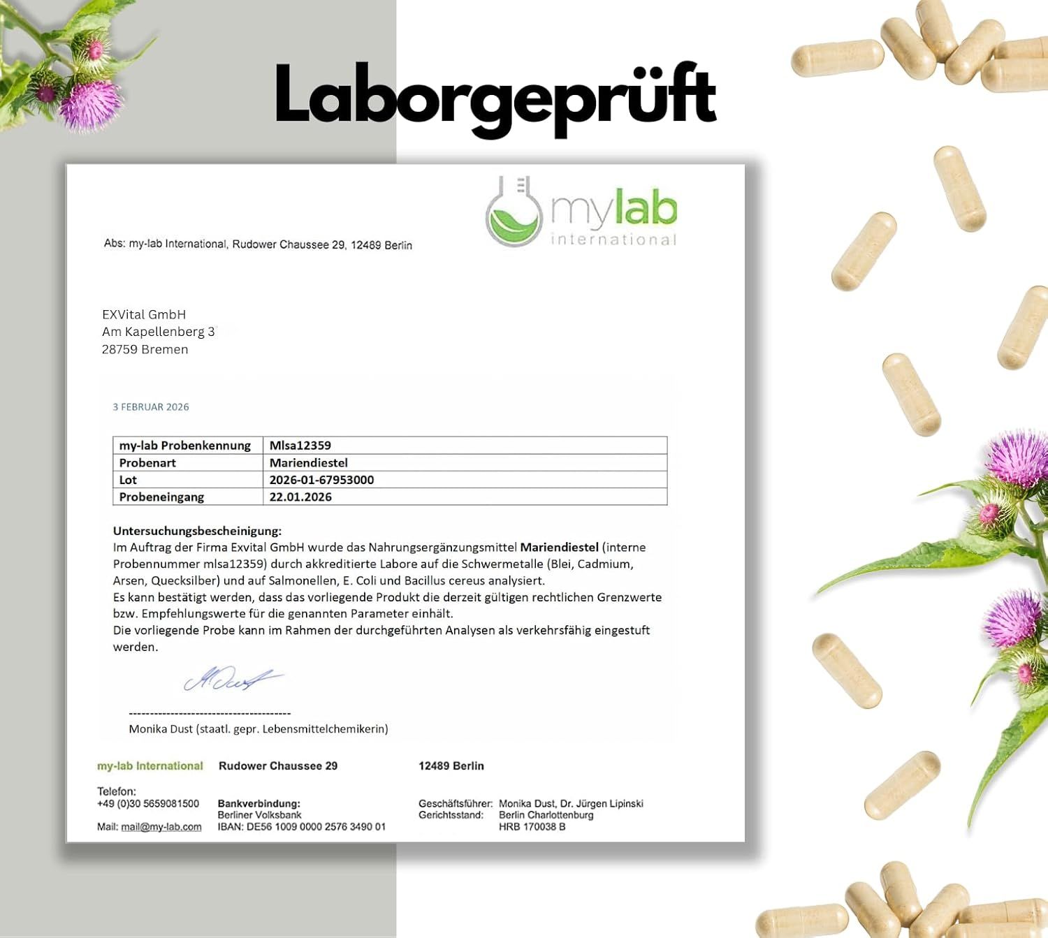 Laborgeprüftes Dokument. Mariendistel. mylab International. Kapseln und Mariendistelblüten im Hintergrund.