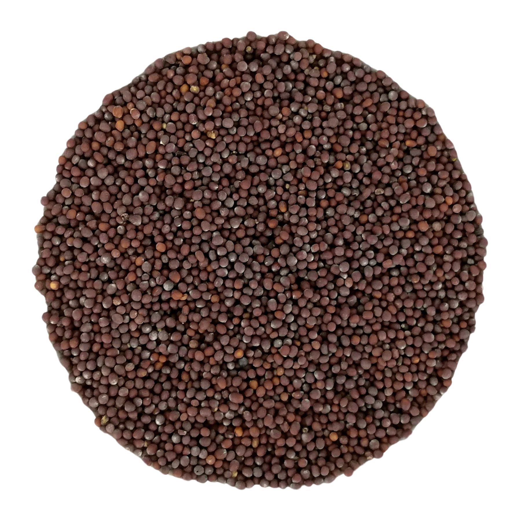 Kreisförmige Anordnung von kleinen, braunen Senfkörnern. Die Körner sind dicht gepackt und bilden eine runde Form.