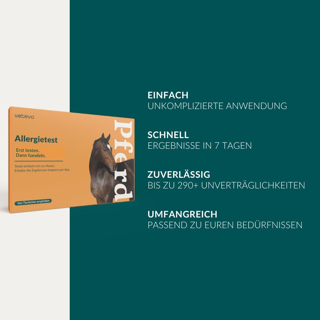 Produktverpackung des Allergietests Pferd. Orangefarbene Schachtel mit Text und Pferdeabbildung. Text: Einfach, Schnell, Zuverlässig, Umfangreich.
