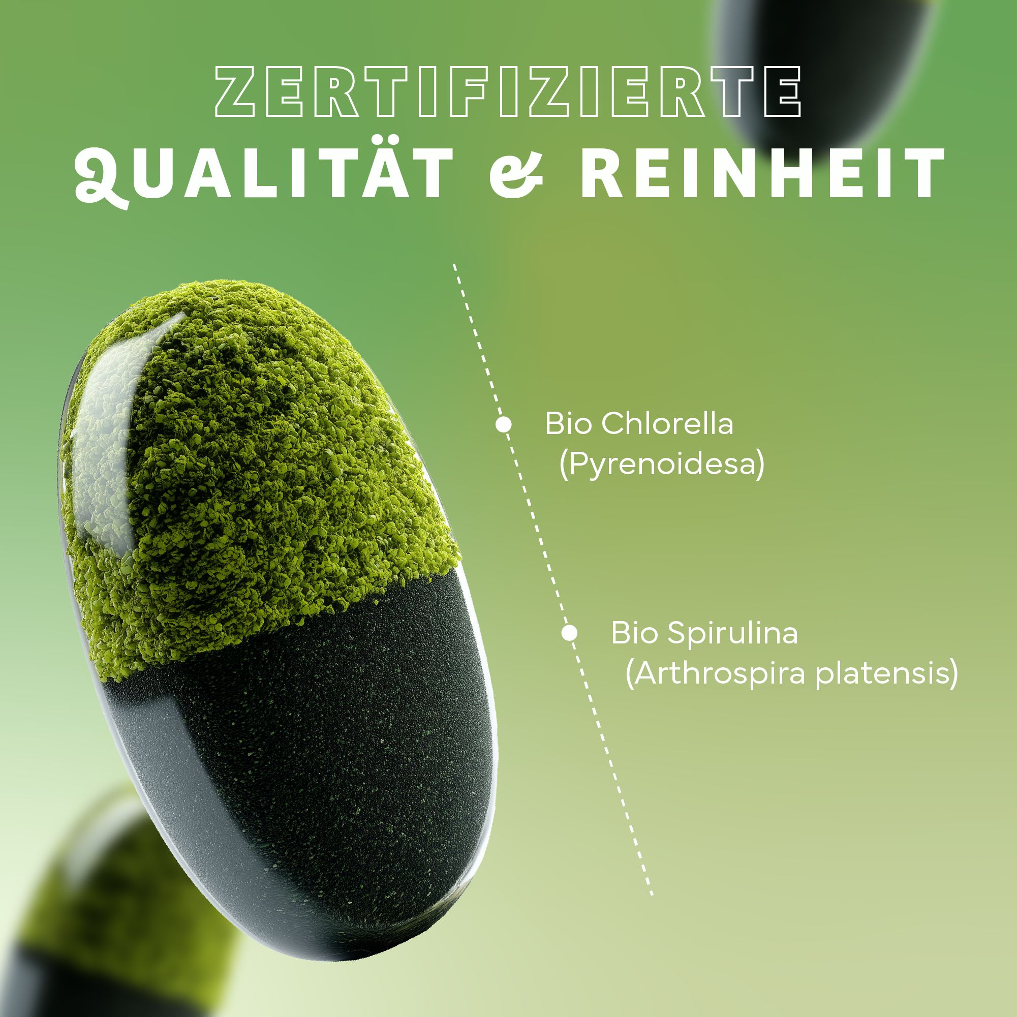Kapsel, teilweise mit grünem Pulver bedeckt. Text: Bio Chlorella, Bio Spirulina. Hintergrund: grüner Farbverlauf. Text: Zertifizierte Qualität & Reinheit.