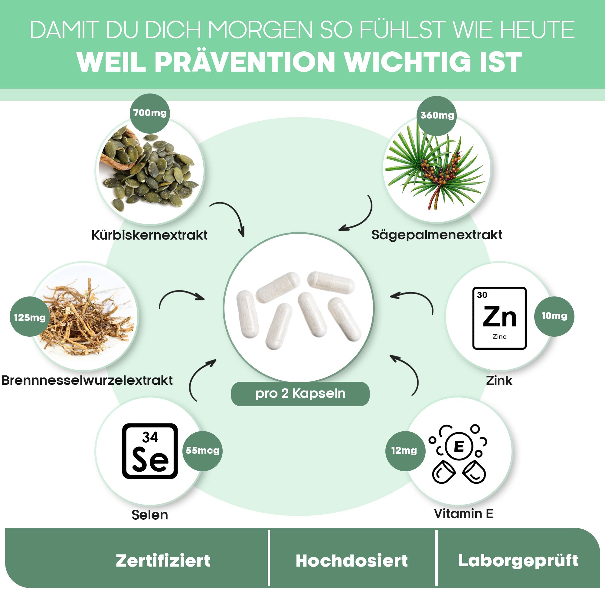 Kreisförmige Darstellung von Inhaltsstoffen: Kürbiskernextrakt, Sägepalmenextrakt, Zink, Selen, Vitamin E und Brennnesselwurzelextrakt.