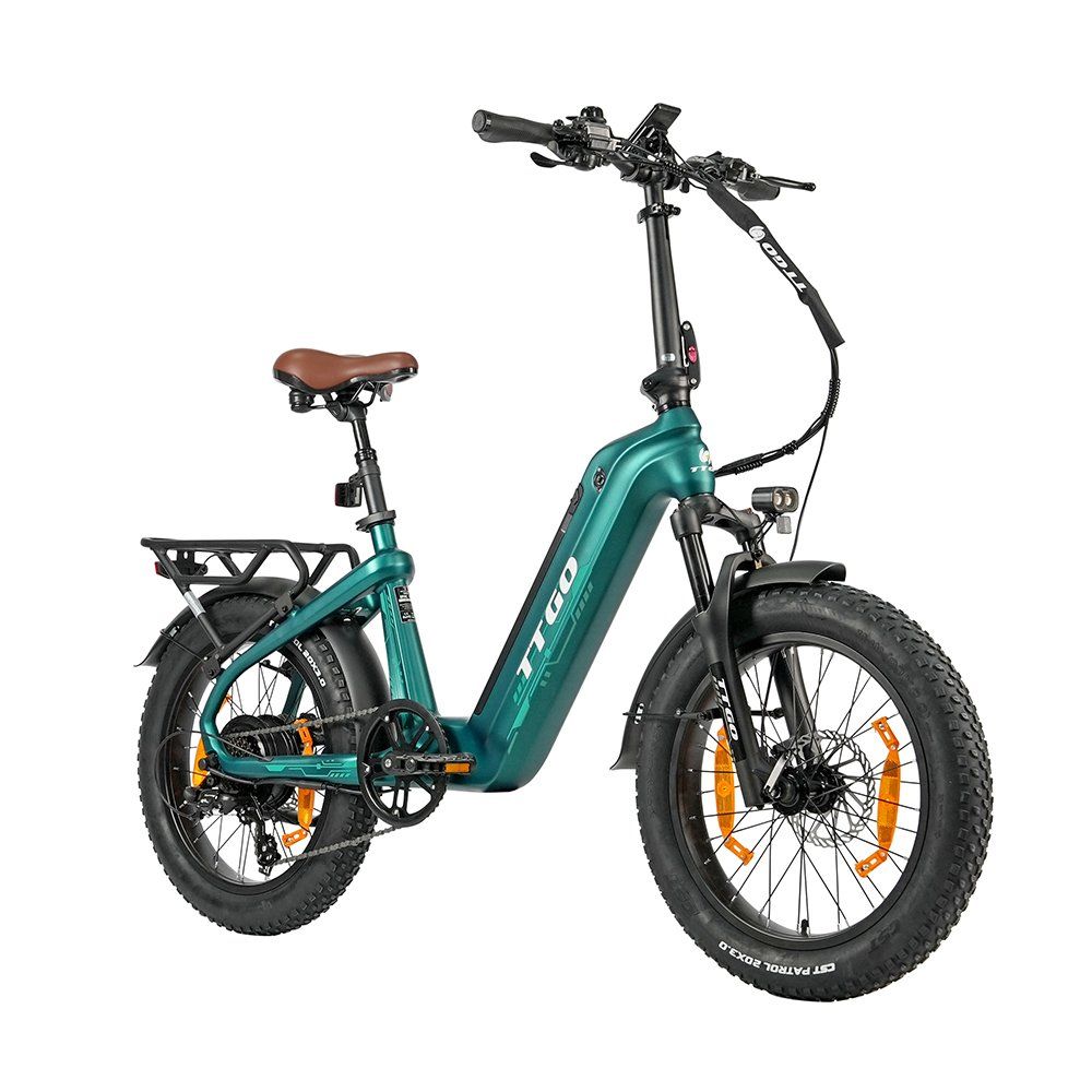 TTGO F8 E-Bike aus Carbonfaser, 48V 18Ah Akku (versteckt)