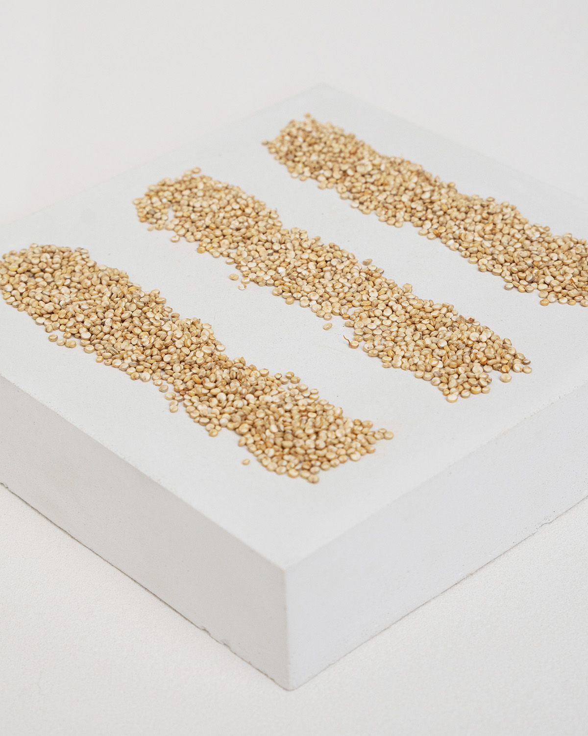 Drei Streifen Quinoa-Körner auf weißem Untergrund. Körner sind hellbraun und liegen nebeneinander.
