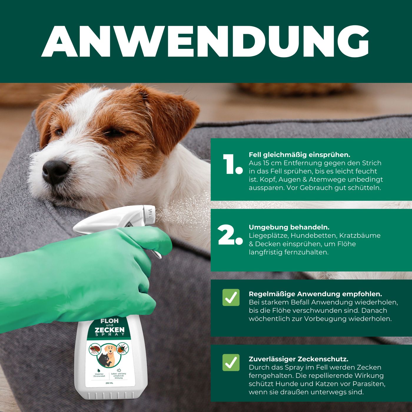 Anwendungshinweise. Hund auf einem Kissen. Flasche mit Produkt. Text: Fell gleichmäßig einsprühen, Umgebung behandeln, regelmäßige Anwendung.