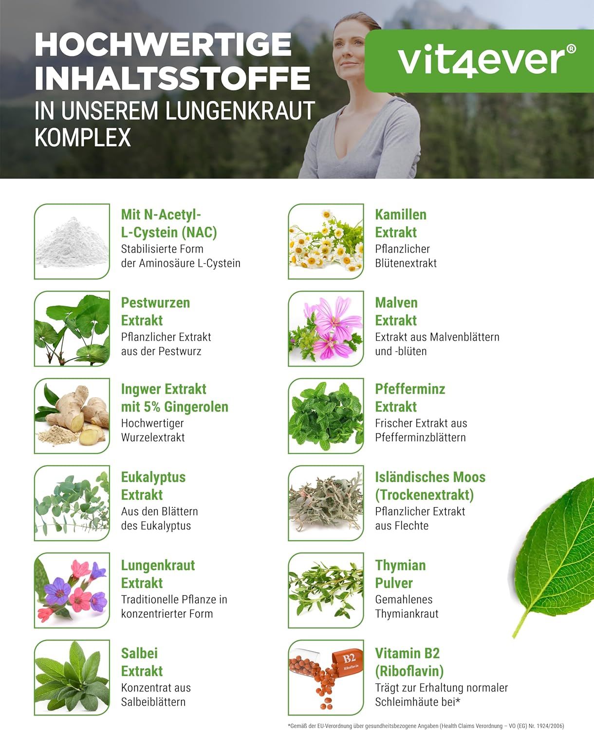 Infografik mit Inhaltsstoffen. Kamille, Pestwurz, Ingwer, Eukalyptus, Lungenkraut, Salbei, Thymian, Vitamin B2.