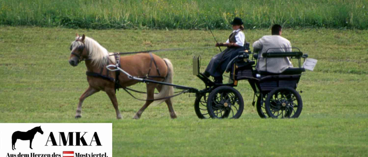 Pferd zieht eine Kutsche mit zwei Personen. Text: AMKA, Aus dem Herzen des Mostviertel.