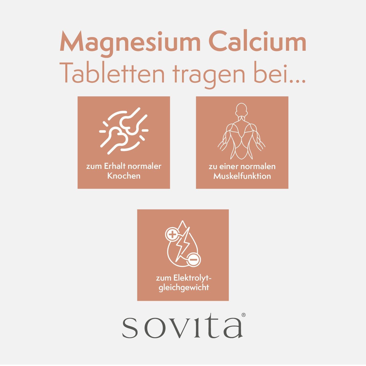 Grafik mit Symbolen für Knochen, Muskeln und Elektrolytgleichgewicht. Text: Magnesium Calcium Tabletten tragen bei...