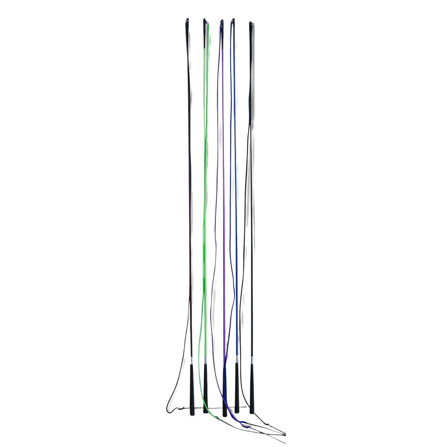 Mehrere Longierpeitschen in verschiedenen Farben, auf weißem Hintergrund.