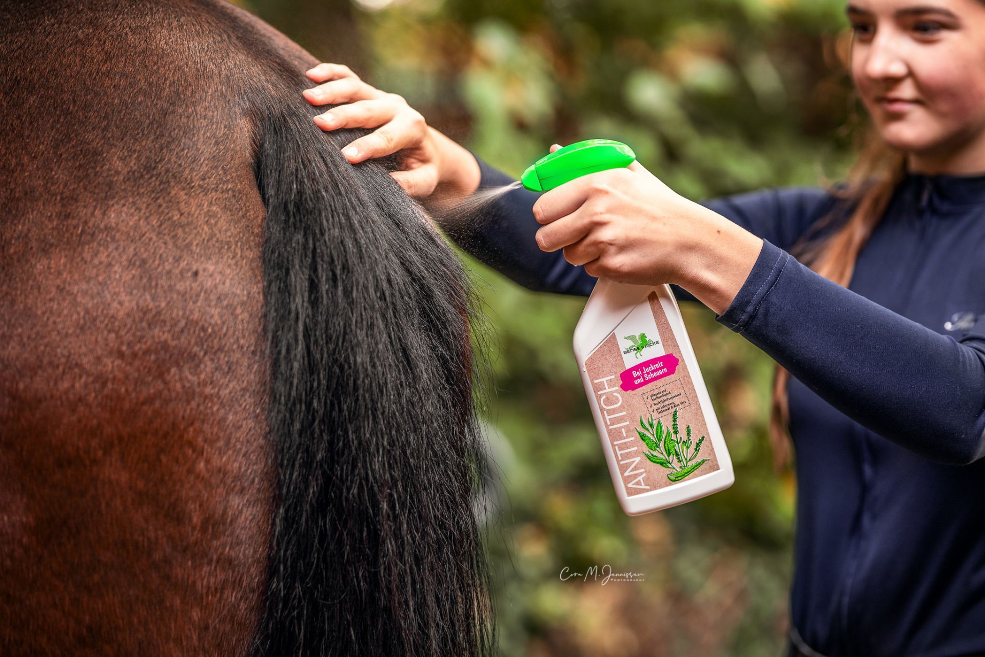 Person sprüht Spray auf Pferdeschwanz. Sprayflasche mit grüner Kappe und Aufschrift ANTI-ITCH. Braunes Pferd.