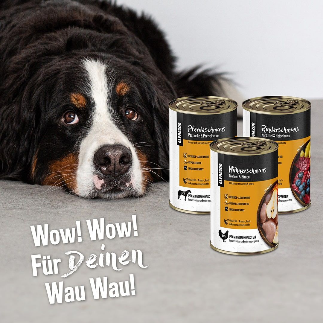 Drei Dosen Nassfutter neben einem Hund. Aufschrift: Rinderschmaus, Hühnerschmaus, Pferdeschmaus. Wow! Wow! Für Deinen Wau Wau!