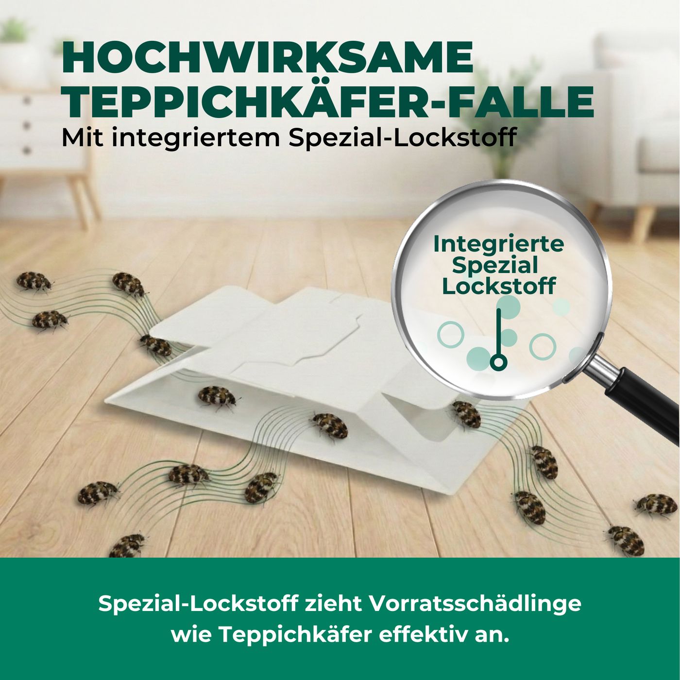 Weiße Falle mit Käfern auf Holzboden. Vergrößerung zeigt „Integrierter Spezial-Lockstoff“. Text: „Spezial-Lockstoff zieht Vorratsschädlinge wie Teppichkäfer an.“