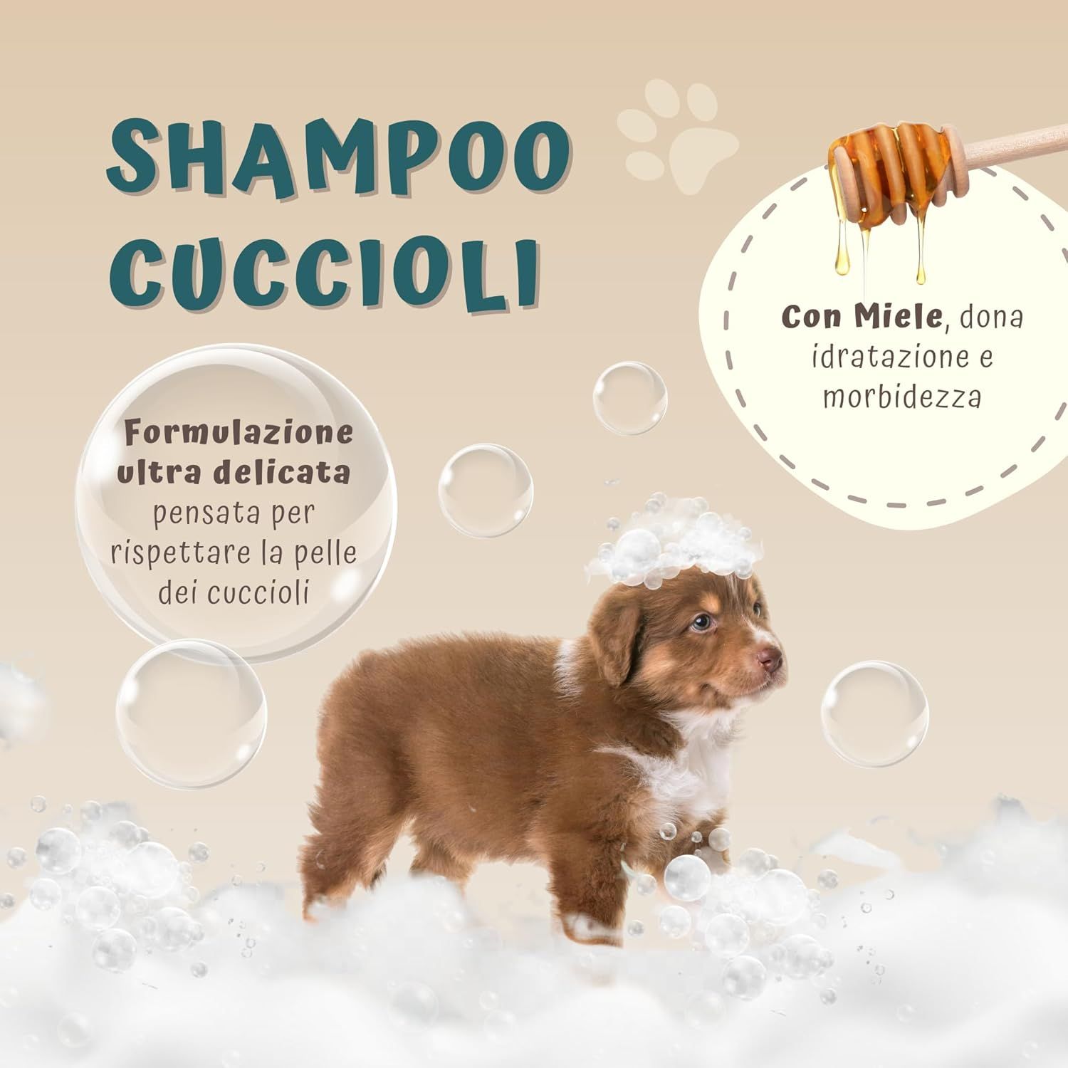 Hund mit Schaum auf dem Kopf. Text: Shampoo Cuccioli. Formel für die Haut von Welpen. Mit Honig für Feuchtigkeit und Weichheit.