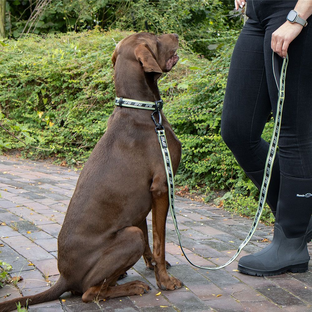 Hundeleine - FuzzYard Active Hunde Cityleine