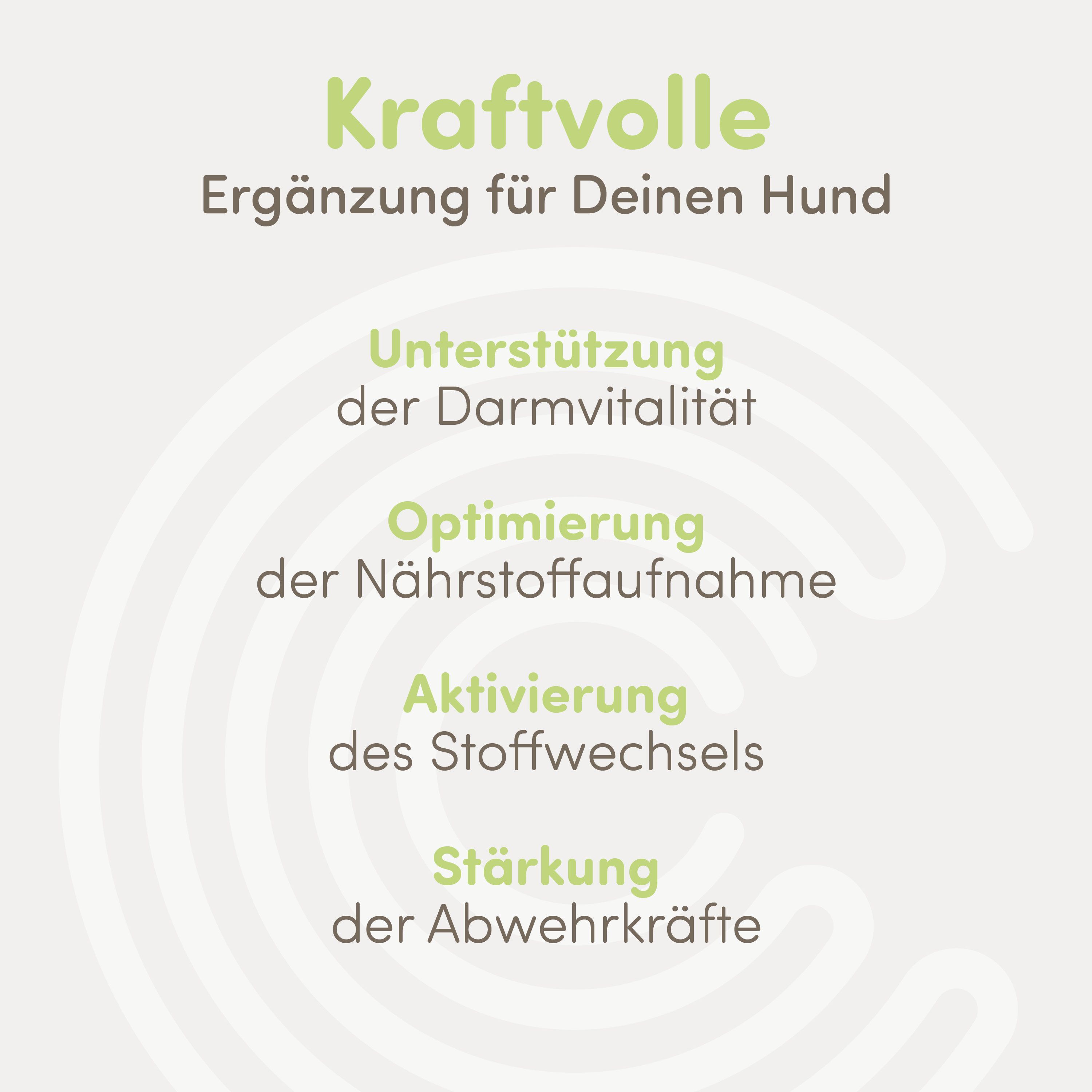 Textgrafik mit vier Vorteilen für Hunde: Darmvitalität, Nährstoffaufnahme, Stoffwechsel, Abwehrkräfte.