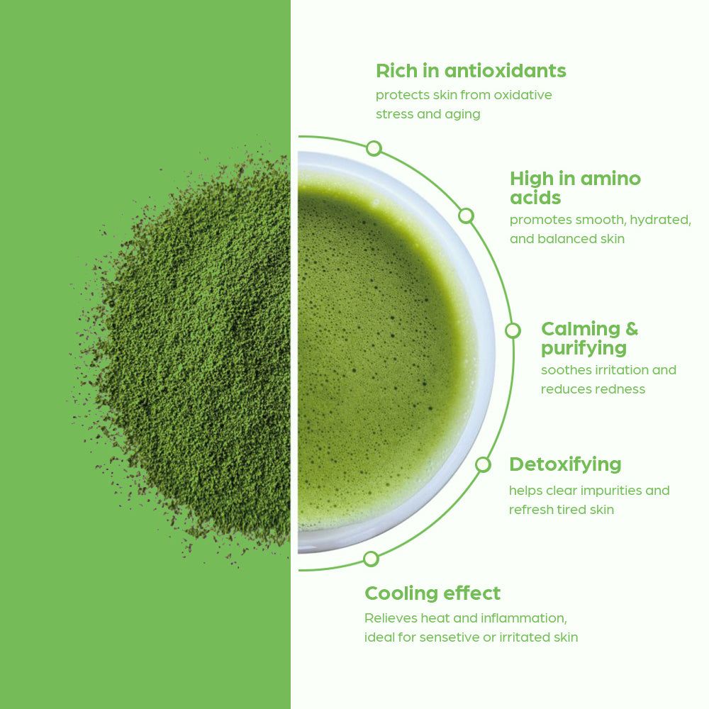 HOUSE OF HUR Phyto Brew Matcha Dual Cream & Gel