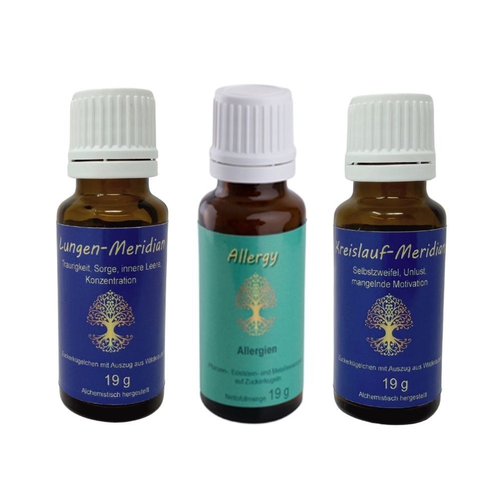 Drei kleine braune Glasflaschen mit weißen Schraubverschlüssen. Beschriftungen: 'Lungen-Meridian', 'Allergy', 'Kreislauf-Meridian'.