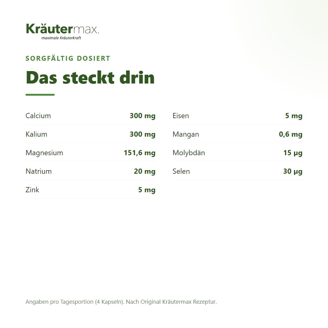 Anwendungshinweis: 4 Kapseln täglich mit Flüssigkeit einnehmen. Flasche Kräutermax Basen+ Kapseln daneben.