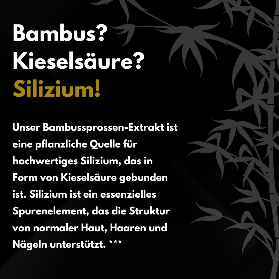 Text: Bambus? Kieselsäure? Silizium! Text über Bambussprossen-Extrakt und Silizium.