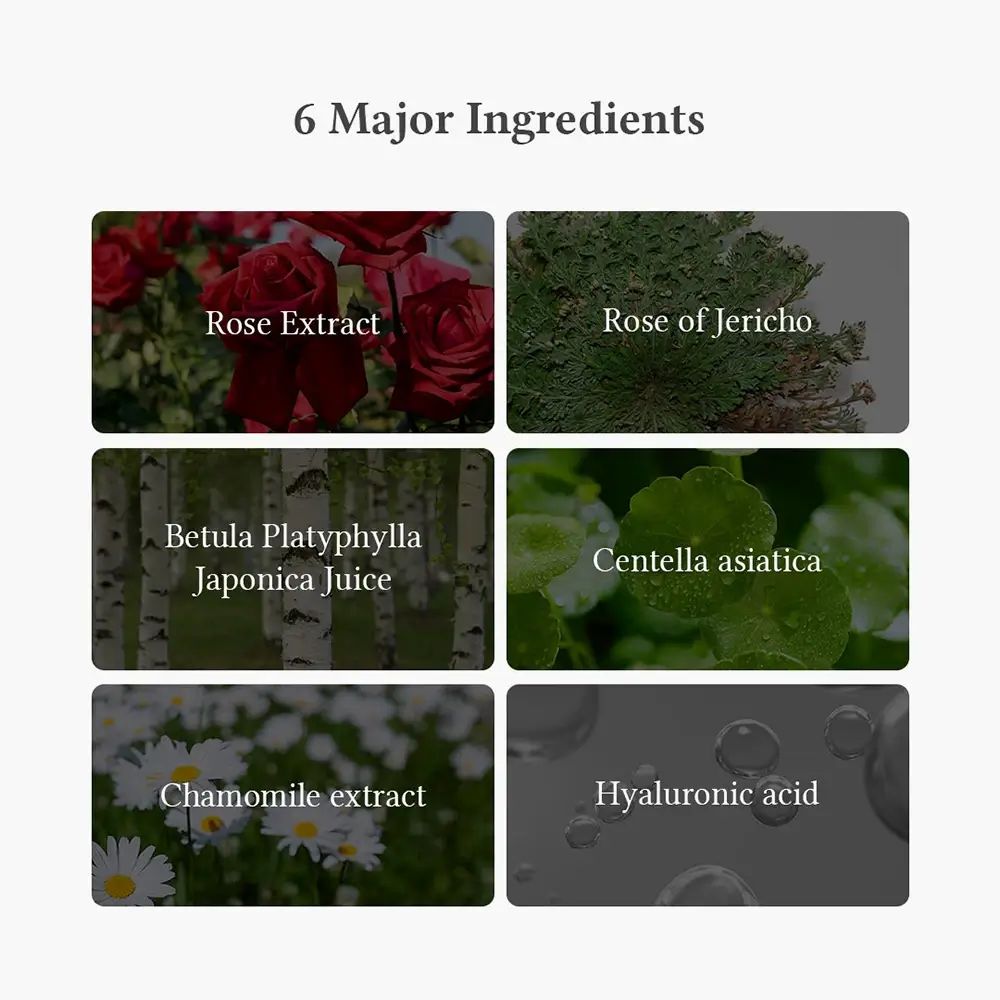 Sechs Inhaltsstoffe der Maske: Rosenextrakt, Rose von Jericho, Betula Platyphylla Japonica Juice, Centella asiatica, Kamillenextrakt, Hyaluronsäure.