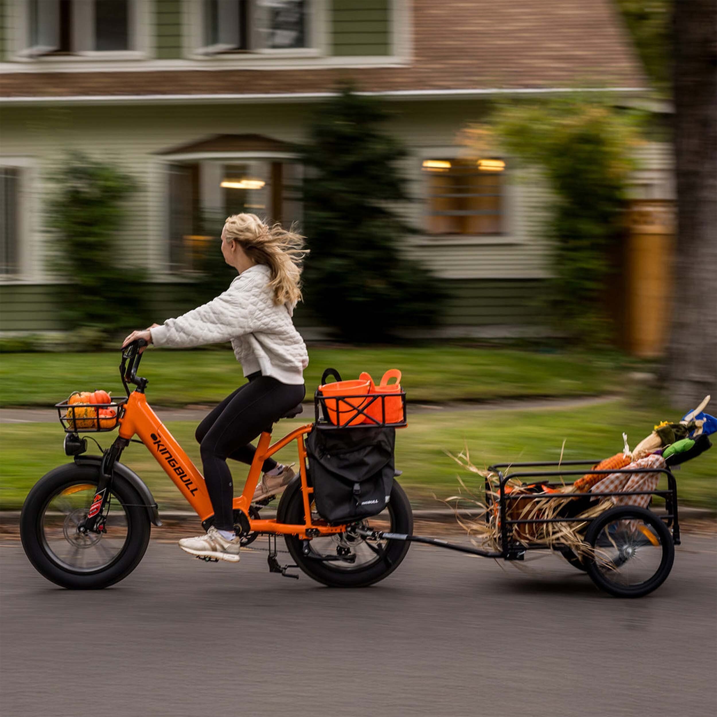 KINGBULL Voyager 2.0 E-Bike mit 48 V / 15 Ah herausnehmbarem Akku