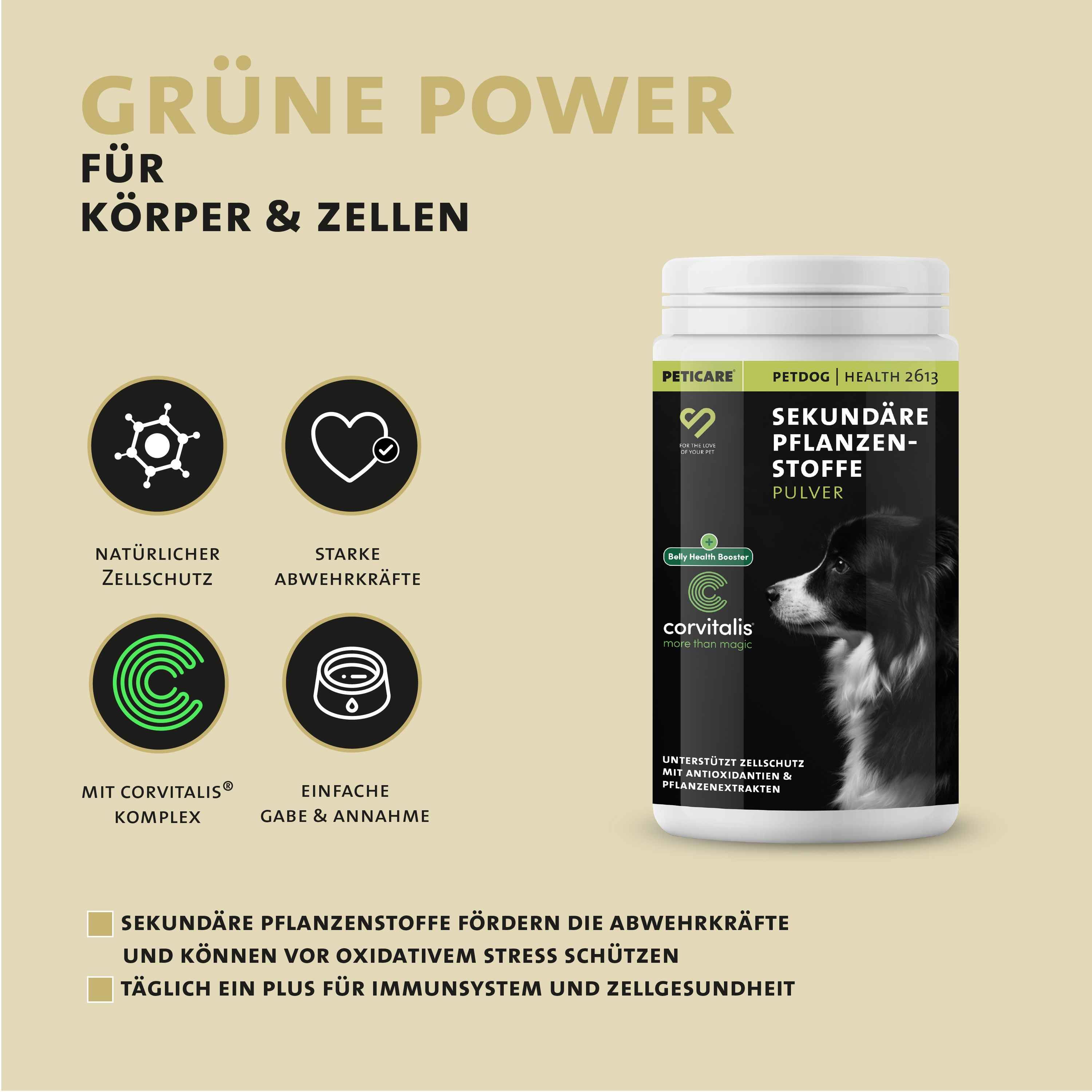 Peticare Sekundäre Pflanzenstoffe Pulver für Hunde mit Icons für Zellschutz und Abwehrkräfte.