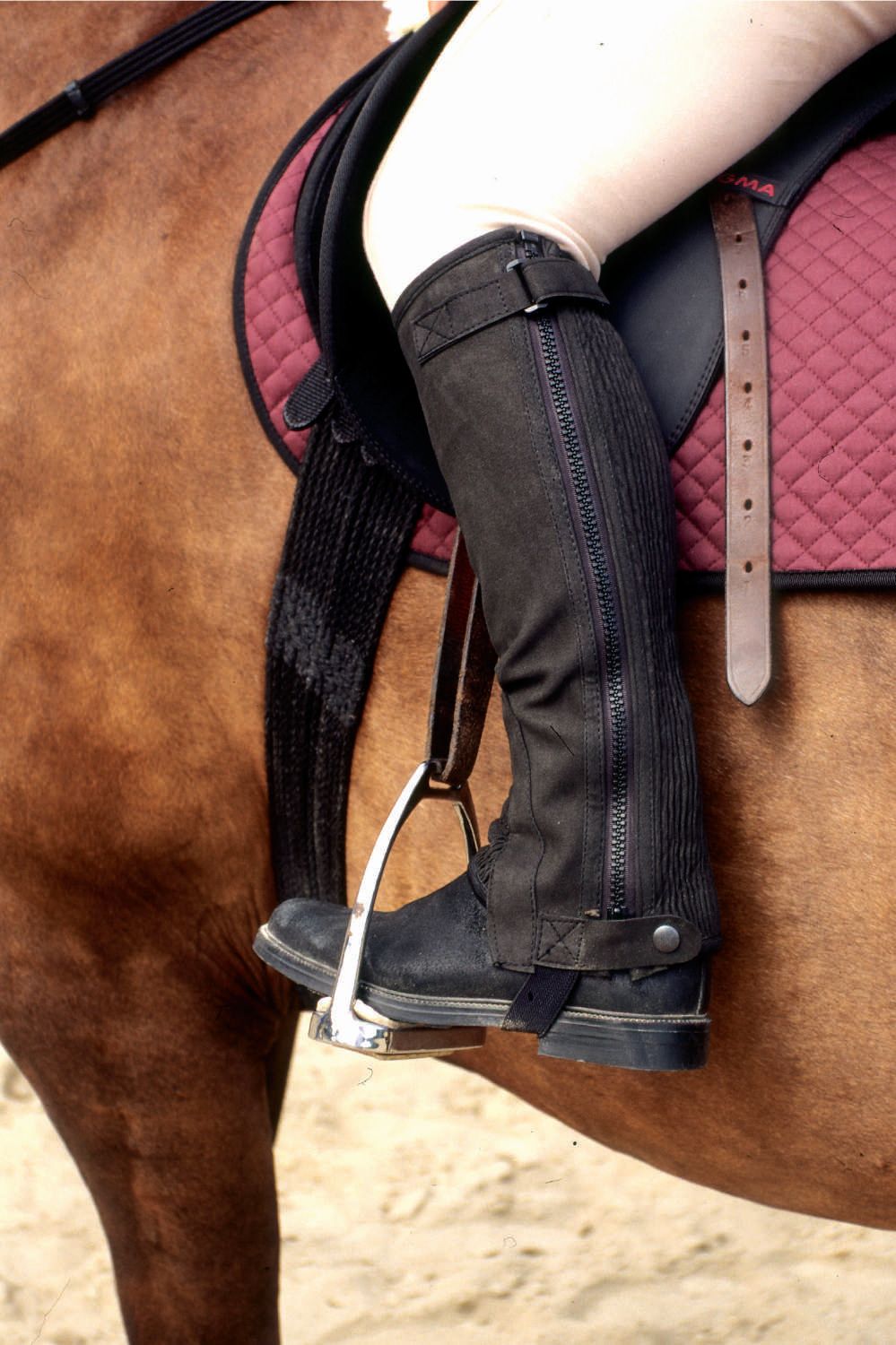 Person mit schwarzen Reitchaps und Stiefeln auf einem Pferd. Reitchaps mit Reißverschluss und Schnallen.