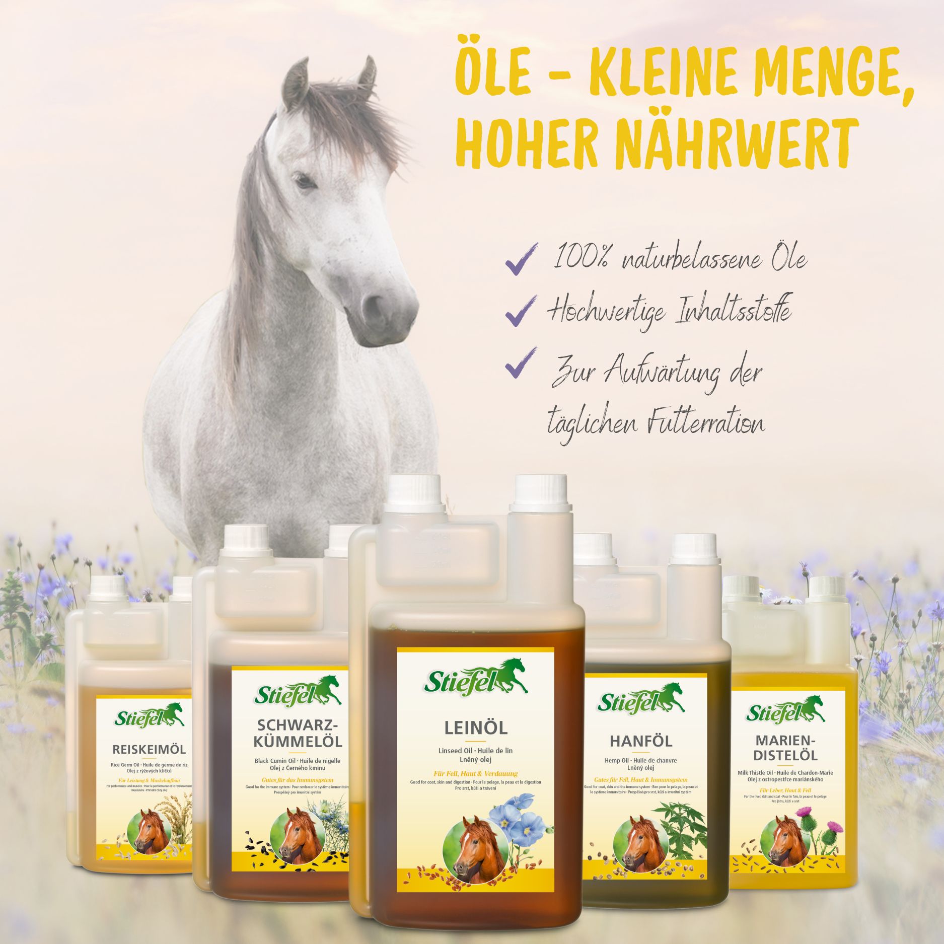 Mehrere Flaschen mit verschiedenen Ölen, darunter Mariendistelöl. Pferd im Hintergrund. Text: Öle - kleine Menge, hoher Nährwert.