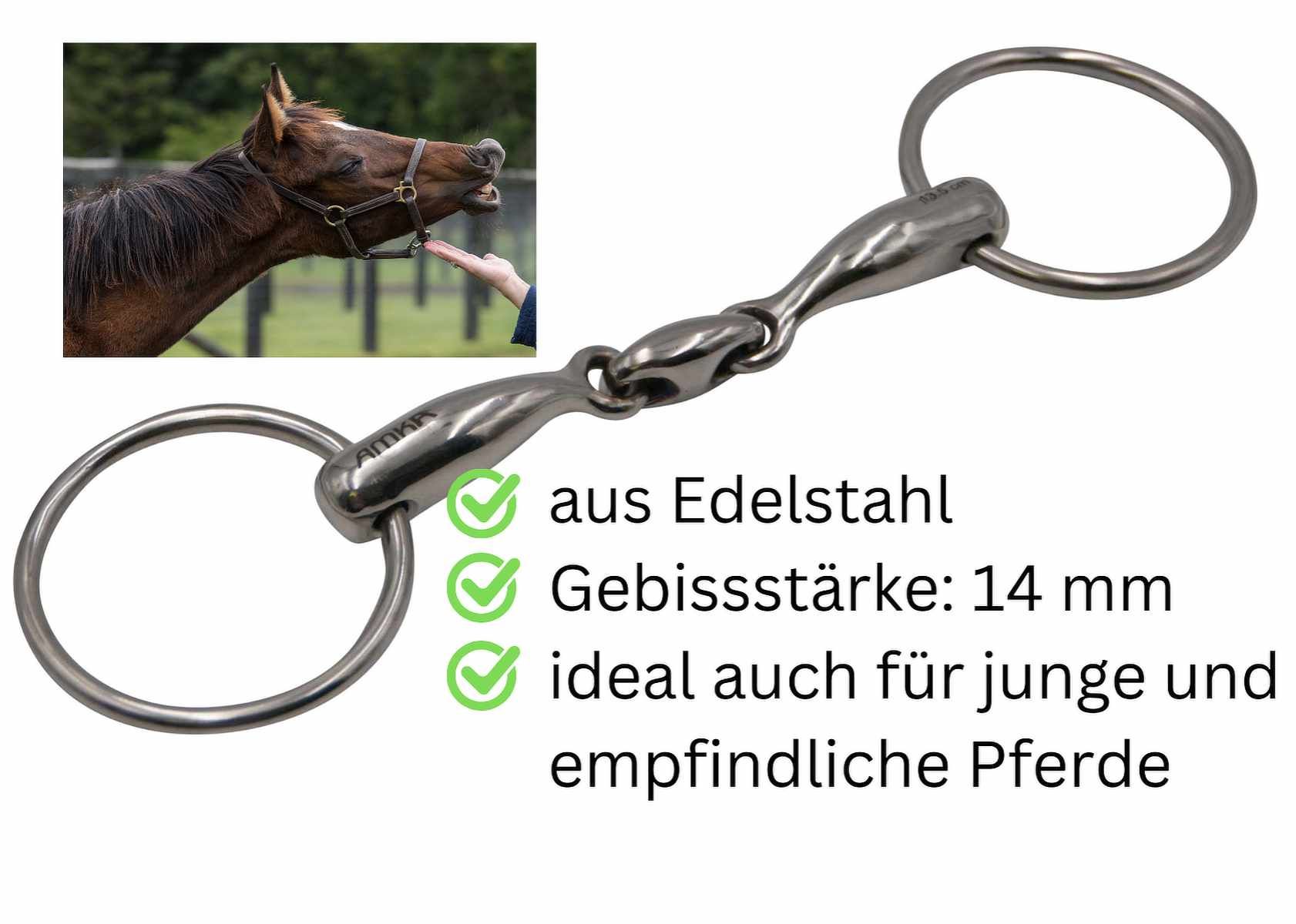 Edelstahl-Wassertrense, doppelt gebrochen. Gebissstärke: 14 mm. Ideal für junge und empfindliche Pferde.